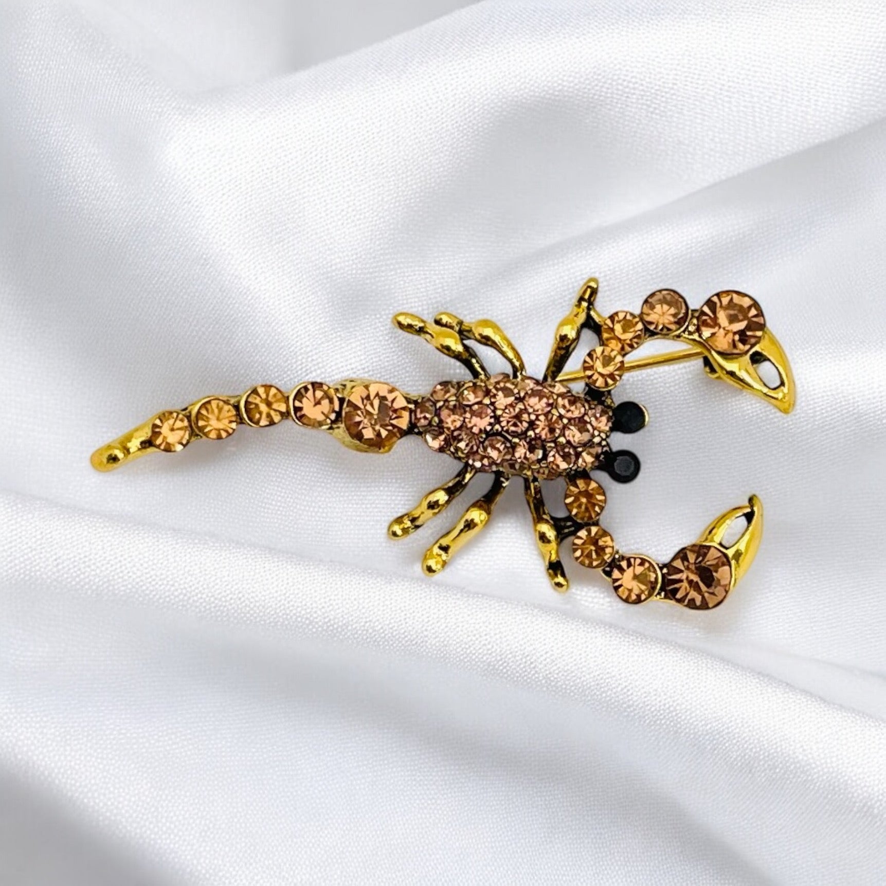 Broche Maximus